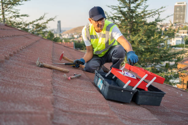 Best Storm Damage Siding Repair  in Valencia West, AZ